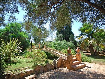 Mallorca Immobilien kaufen