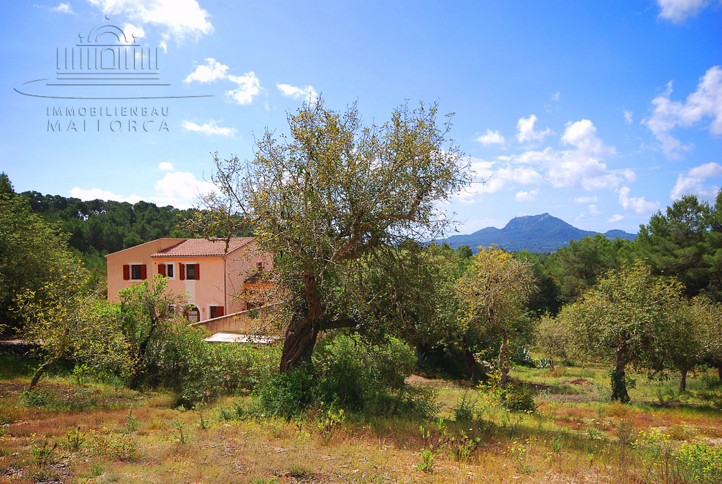 Immobilien Mallorca kaufen, buy real estates Mallorca, Majorca