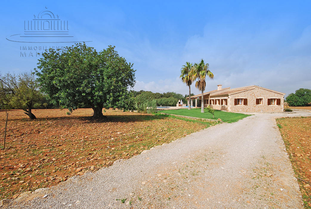 Real Estate Immobilienbau Mallorca