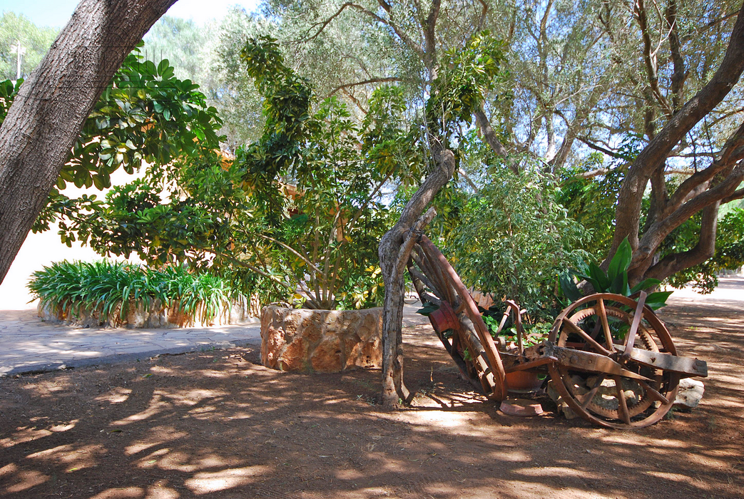 Immobilien kaufen Mallorca