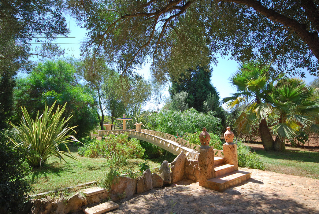Mallorca Immobilien kaufen